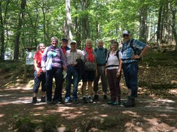 Wandergruppe der Kolpingsfamilie Hockenheim
